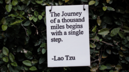 Quote by LAo Tzu that reflects the mindset journey